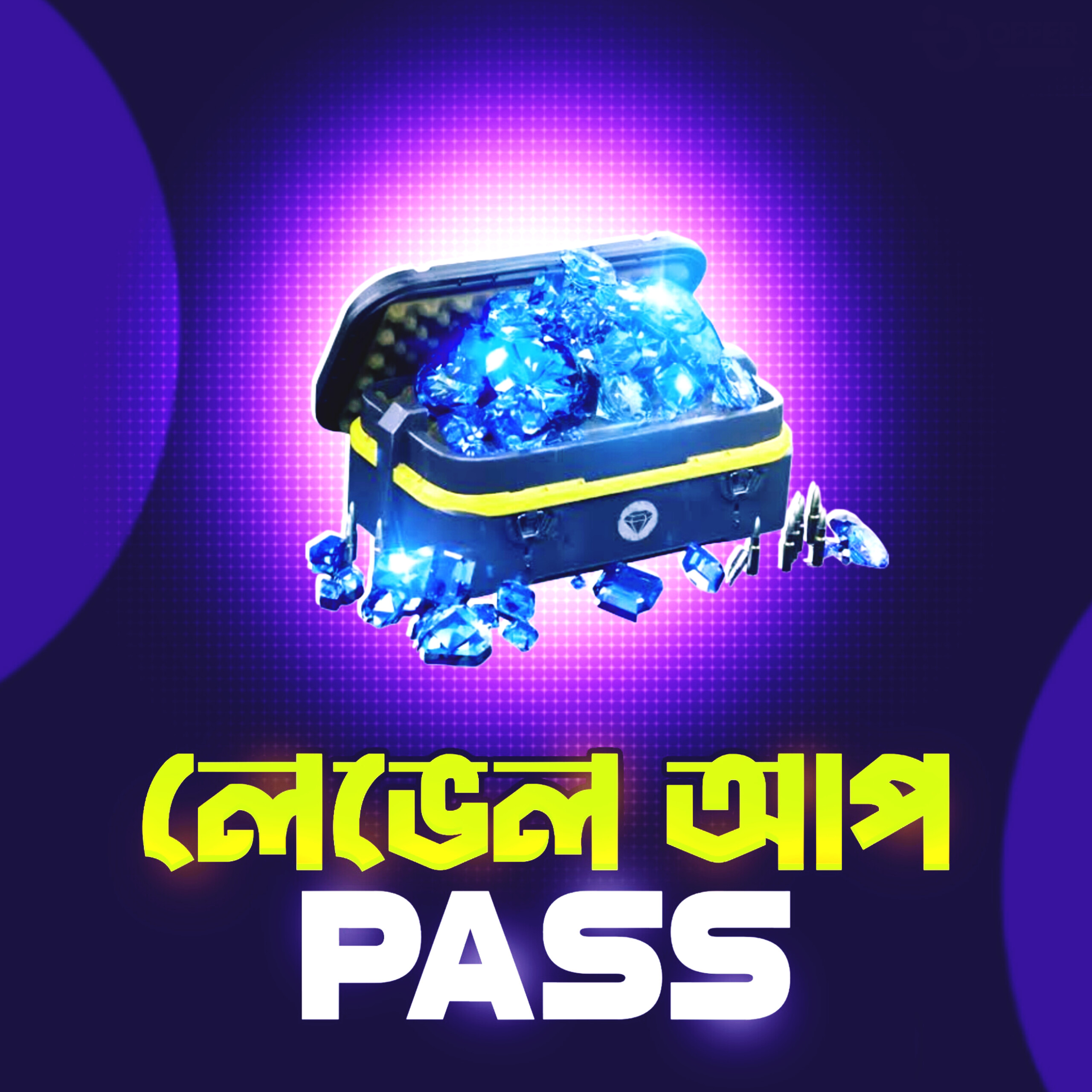level up pass